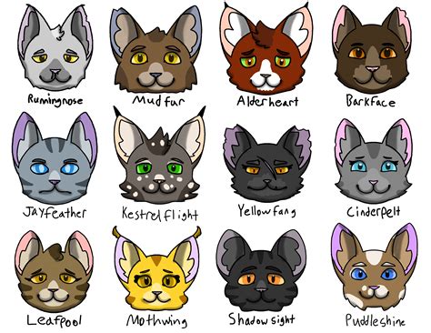 Warrior Cats: Medicine Cats Redesigns by HeneryettaTheHen on DeviantArt