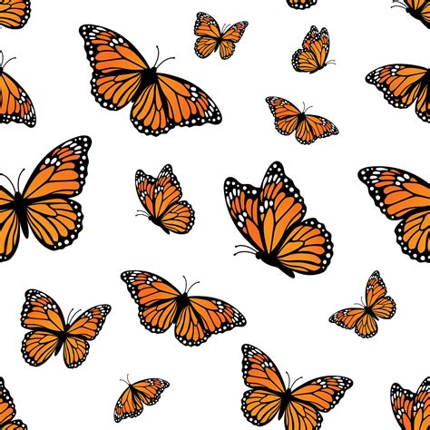 [100+] Monarch Butterflies Wallpapers | Wallpapers.com