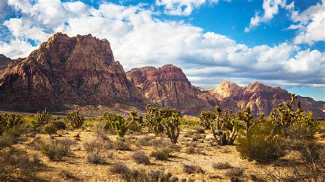 Red Rock Canyon | Red Rock Canyon National Conservation Area