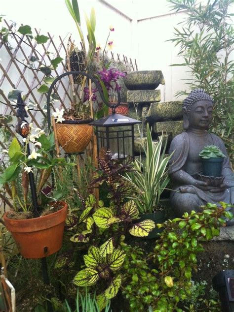 Zen Garden Garden Ideas, Zen, In This Moment, Plants, Landscaping Ideas, Plant, Backyard Ideas ...