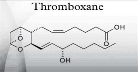 About Thromboxane - Assignment Point