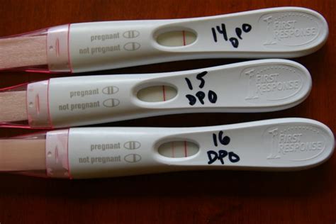 The Most Accurate Pregnancy Tests - WeHaveKids - Family