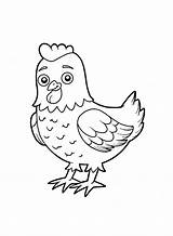 Mais De 20 Páginas Para Colorir Galinhas  PDF Impressão Grátis sketch template