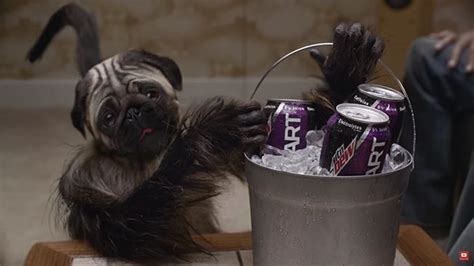 Puppy Baby Monkey Commercial: Mountain Dew's First In-Game Ad Since 2000 | Super bowl ...