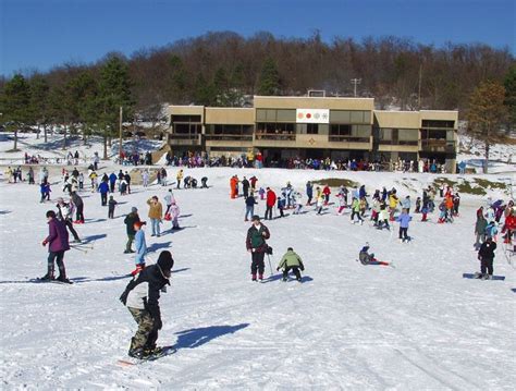 Boyce Park Ski Area | Ski area, Outdoor fun for kids, Park