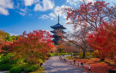 Toji Temple | Travel Japan (Japan National Tourism Organization)