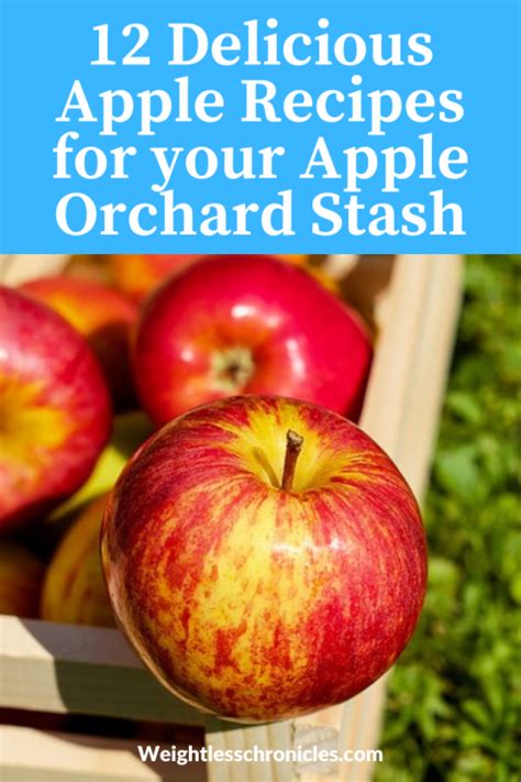 12 Delicious Apple Recipes for your Apple Orchard Stash - Weightless ...