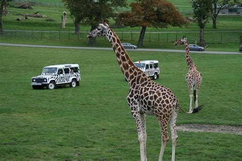 Longleat Safari & Adventure Park