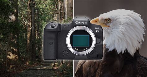 Full-Res Sample Photos from the Canon EOS R5, R6, and All the New Lenses | PetaPixel