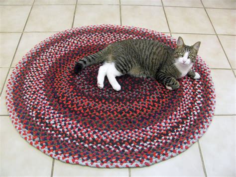 Glass Notes: DIY Project: Recycled T Shirts Rag Rug, aka Cat Mat