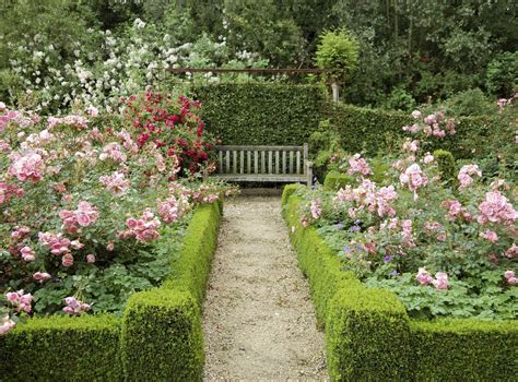 11 Essential Tips for Creating a Rose Garden | English garden design ...