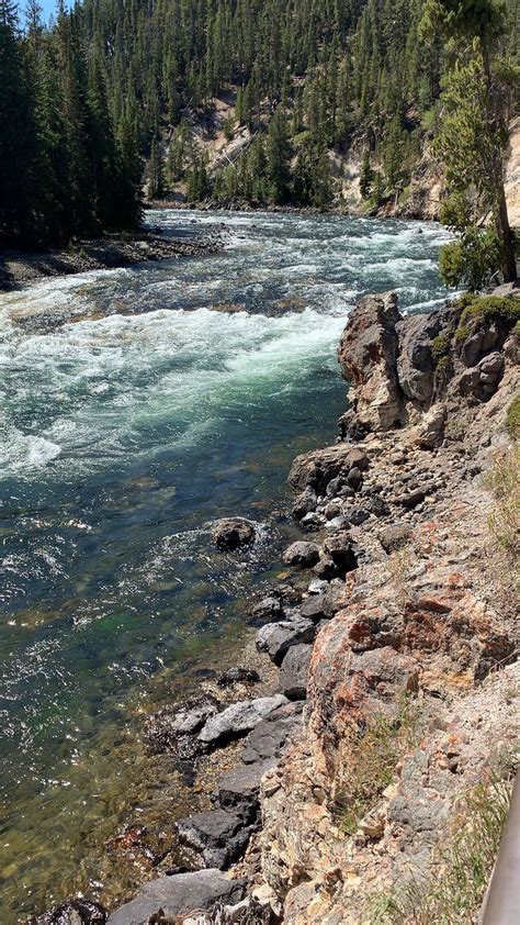 Yellowstone August 2019 : r/camping