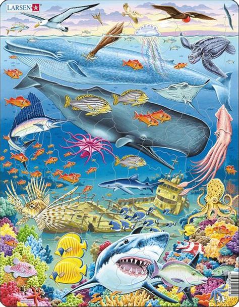 Marine Life in the Pacific Ocean, 66 Pieces, Larsen Puzzles | Puzzle Warehouse