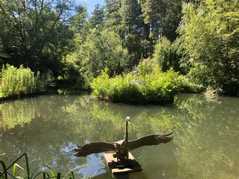 The Sculpture Park, Farnham