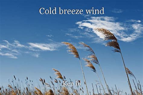 Cold breeze wind, short story by Ken hi