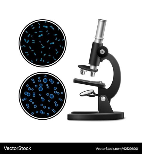 Microscope with petri dish Royalty Free Vector Image