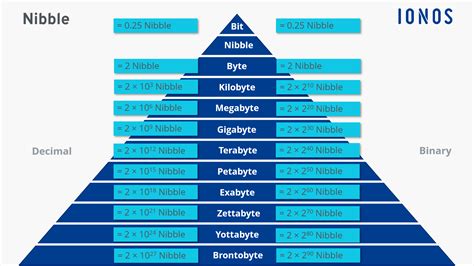 What is a nibble? Nibble and other units of information explained - IONOS CA