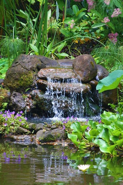 Small Waterfall Pond Landscaping For Backyard Decor Ideas 91 | Baghavevandfald, Havedam, Smukke ...