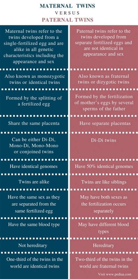 Difference Between Maternal and Paternal Twins | Definition, Formation ...