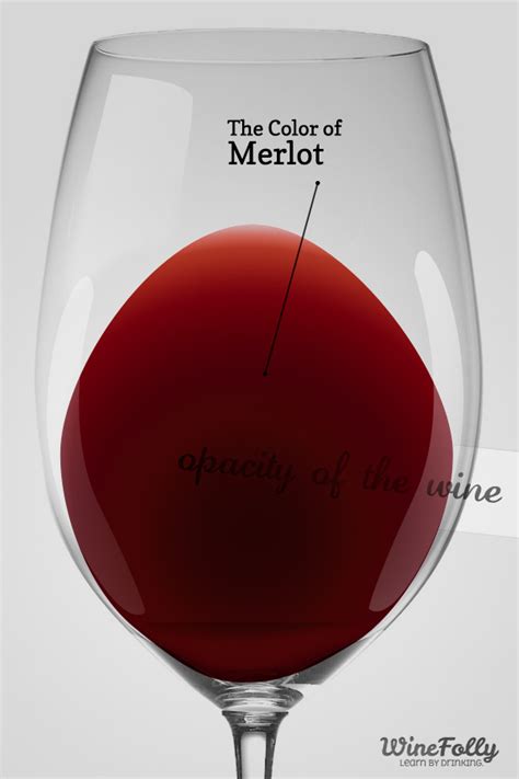 Guide to Merlot Wine Taste, Regions and Food Pairing