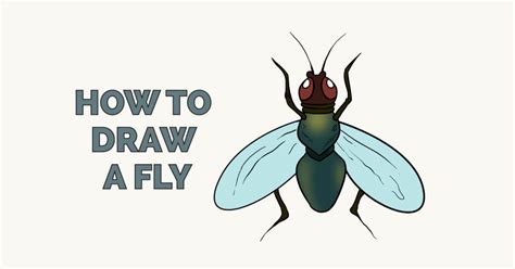 How to Draw a Fly - Really Easy Drawing Tutorial | Easy drawings, Drawing tutorial easy, Drawing ...