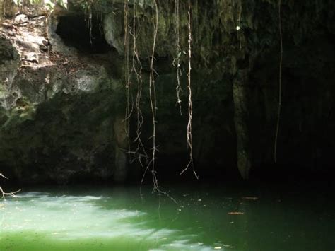 The Jade Caverns - Picture of Wild Tours, Cozumel - TripAdvisor