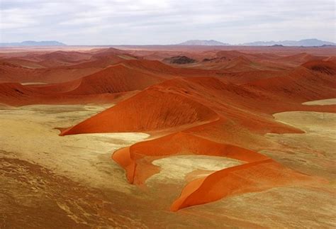 Namib is a desert elephants and fog