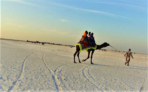 Amazing Rann Utsav Held in White Desert of Kutch Gujarat