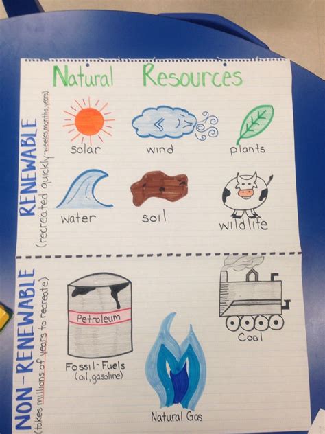 Natural resources | 4th grade science, Elementary science, 3rd grade social studies