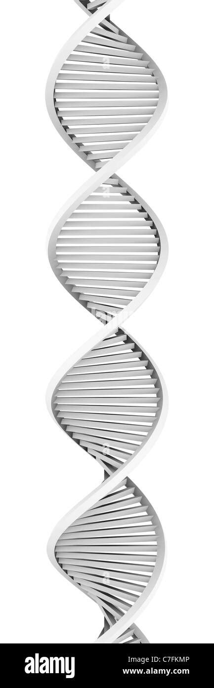 3d dna helix Black and White Stock Photos & Images - Alamy