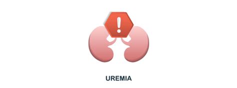 Uremia: Causes, Symptoms And Treatment