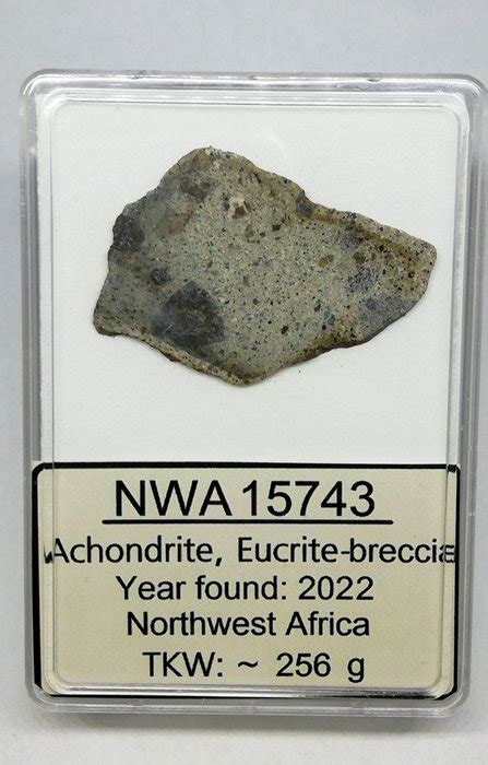 Eucrite NWA 15743. New classification "Without reserve - Catawiki