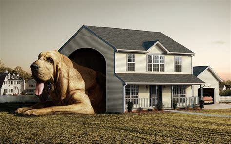 Luxury Dog Mansions for Sale | Cool dog houses, Dog mansion, Dog house