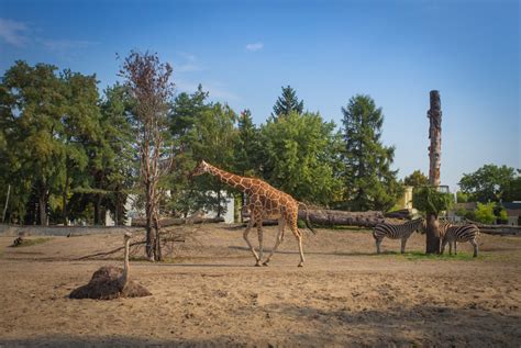 Zoo Wrocław | visitWroclaw.eu