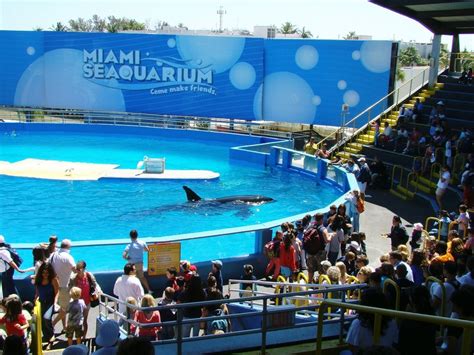 Miami Seaquarium - Dreams Destinations