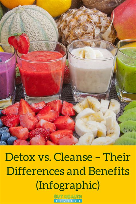 Detox vs. Cleanse – Their Differences and Benefits (Infographic) http ...