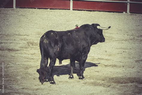 plaza bullfight, traditional Spanish party where a matador fight Stock Photo | Adobe Stock