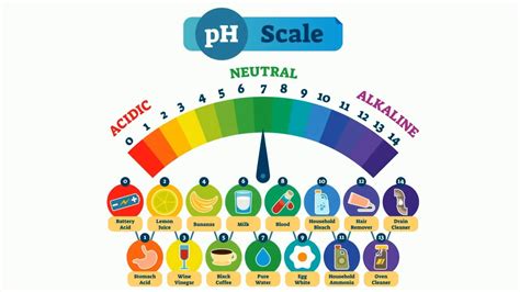 Ph Scale Horizontal