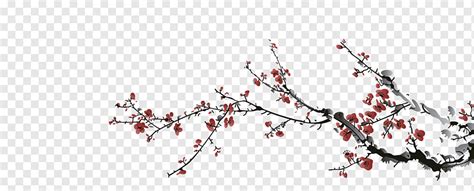 Japanese Cherry Blossom Drawings