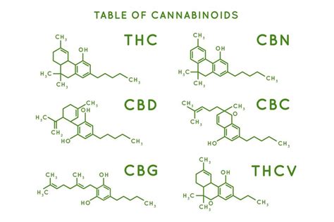 Cannabinoid structure. Cannabidiol molecular structures, THC