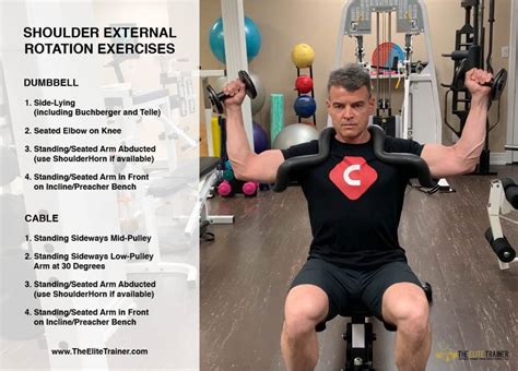 Periodization of Shoulder External Rotation – The Elite Trainer