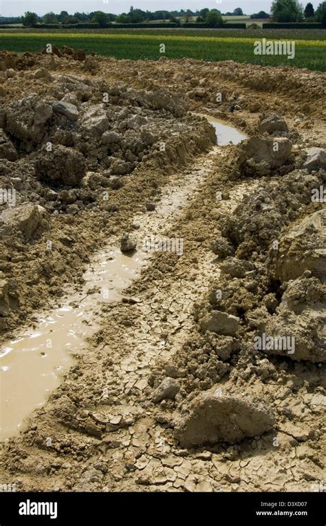 CLAY SOIL showing poor drainage Stock Photo - Alamy