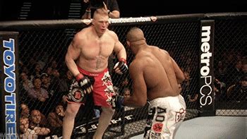 UFC 141: Alistair Overeem vs. Brock Lesnar