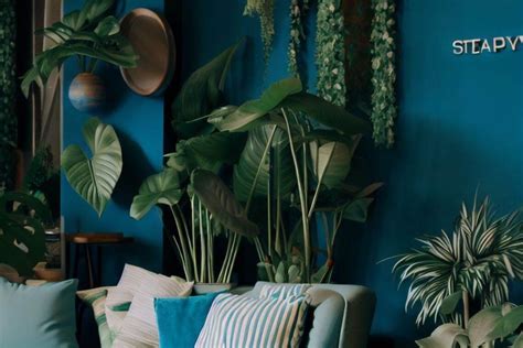 La couleur bleu-vert en décoration - Decormaison