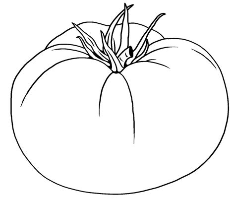 tomato clipart outline drawing illustration picture | Clipart Nepal