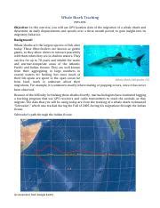 Whale Shark Migration.pdf - Whale Shark Tracking PHYS | Course Hero