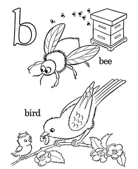 Coloring Pages Birds and Insects & coloring book.