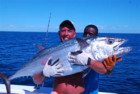 Fight club: Dogtooth Tuna vs Giant Trevally - Tom's Catch Blog