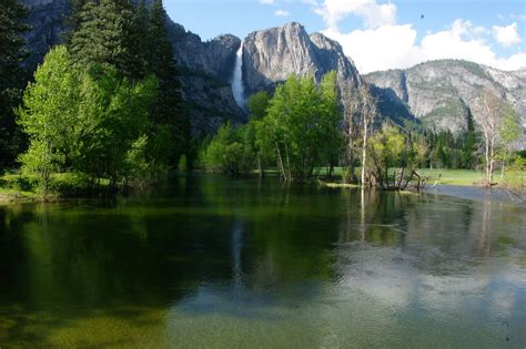 Green Blazing: Yosemite National Park, California