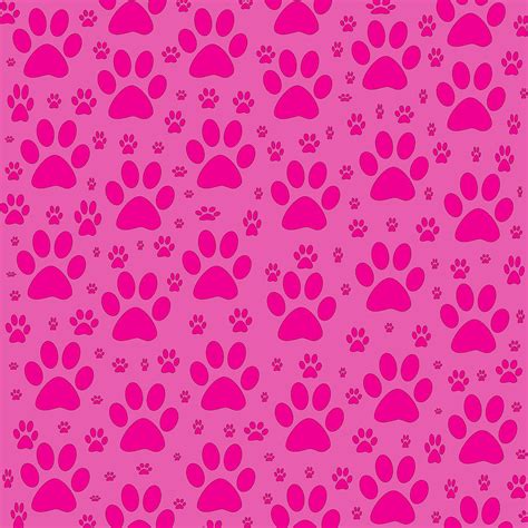 Pink Dog Paw Prints Photograph by Iris Richardson - Fine Art America